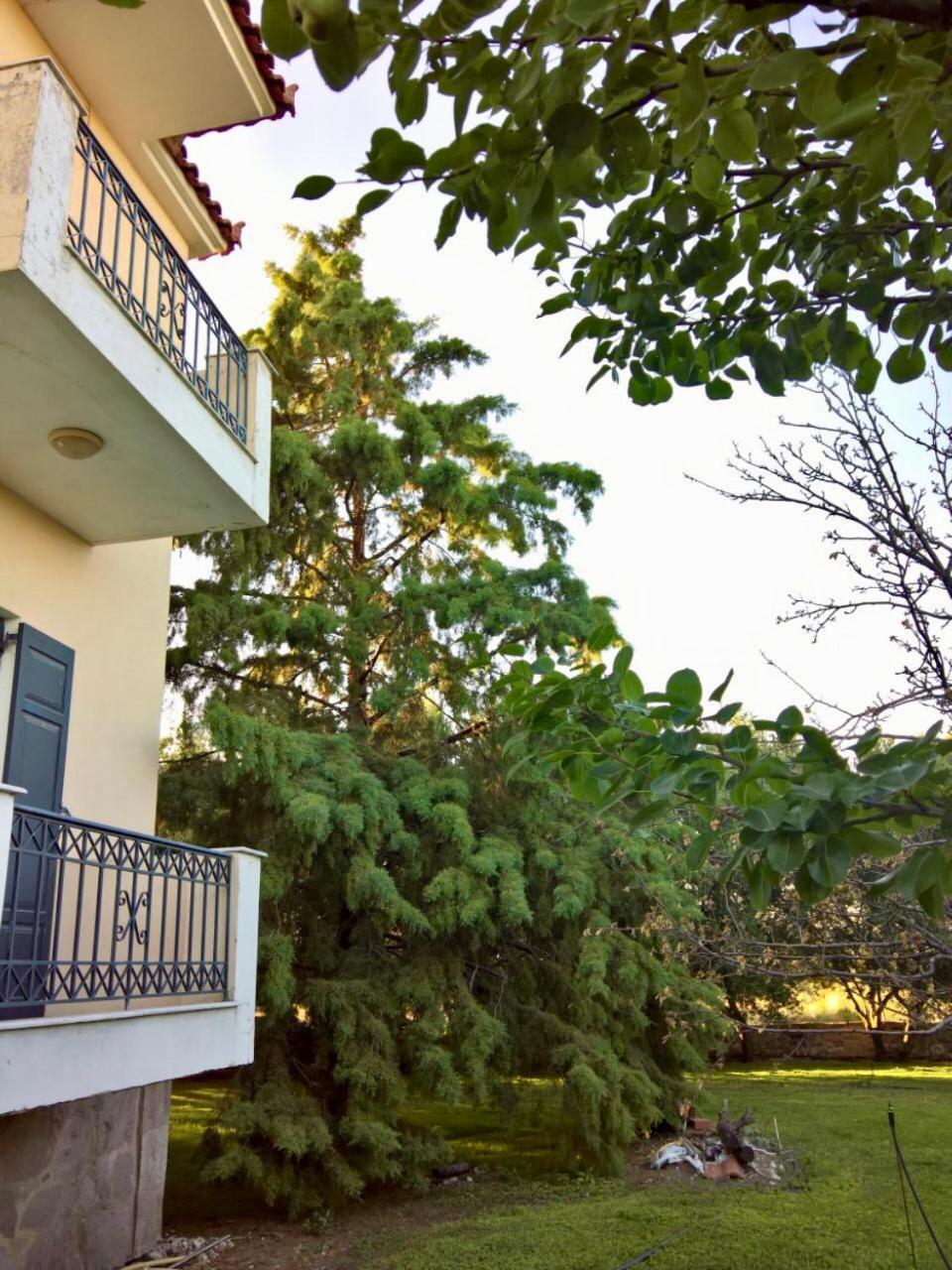 Marita Vila Lisvori Exterior foto
